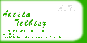 attila telbisz business card